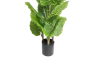 Picture of ARTIFICIAL PLANT Water Arum