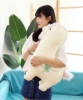 Picture of ALPACA/Llama Stuffed Animal Plush Cushion