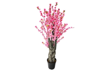 Picture of ARTIFCIAL PLANT Peach Blossom 59"