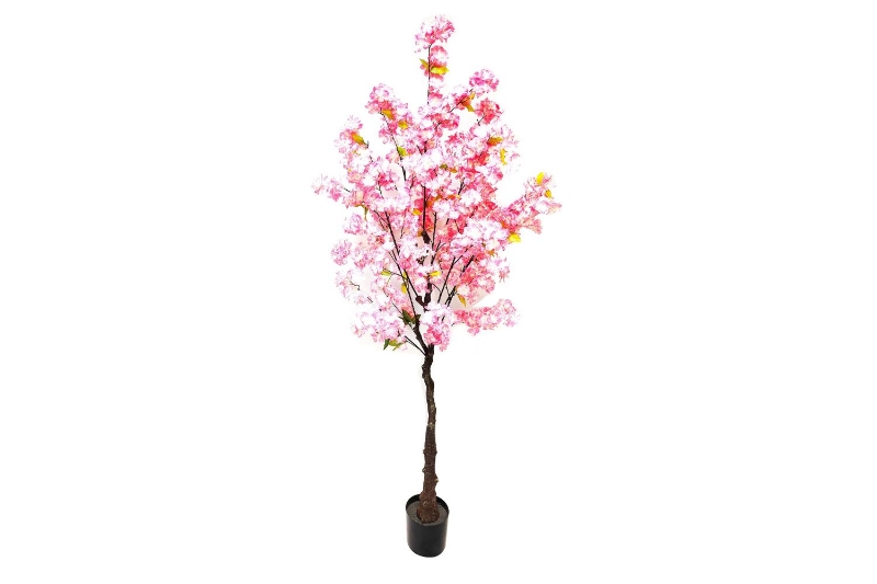 Picture of ARTIFCIAL PLANT Cherry Tree 71"