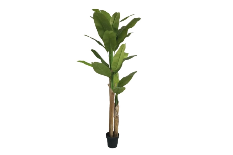 Picture of ARTIFICIAL PLANT Banana Leaves H82.5"