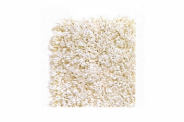 Picture of BELMONT 120/160 Indoor Rug Made in Belgium (Polish Cream)