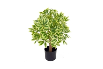 Picture of ARTIFICIAL PLANT 266-271 198 Leaves (60cm)