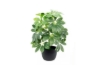 Picture of 266-272 ARTIFICIAL H19.5" PLANT