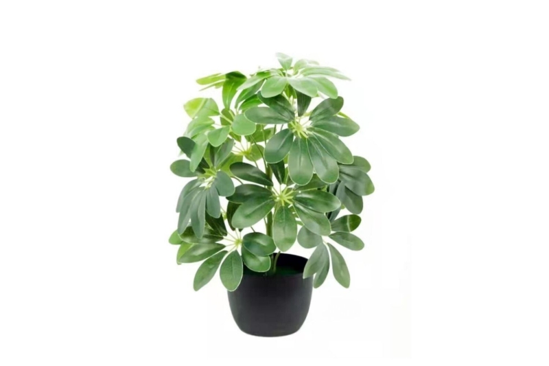 Picture of 266-272 ARTIFICIAL H19.5" PLANT