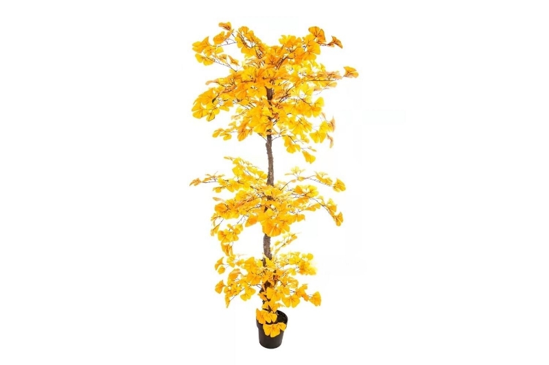 Picture of ARTIFICIAL PLANT 266-301 Ginkgo (180cm)