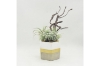 Picture of ARTIFICIAL PLANT 281 with Vase (20cm x 28cm)
