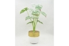 Picture of ARTIFICIAL PLANT 282 with Vase (14.5cm x 50cm)
