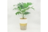 Picture of ARTIFICIAL PLANT 284 with Vase (13.5" x 17.5")