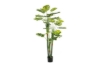 Picture of ARTIFICIAL PLANT Monstera Deliciosa 67"