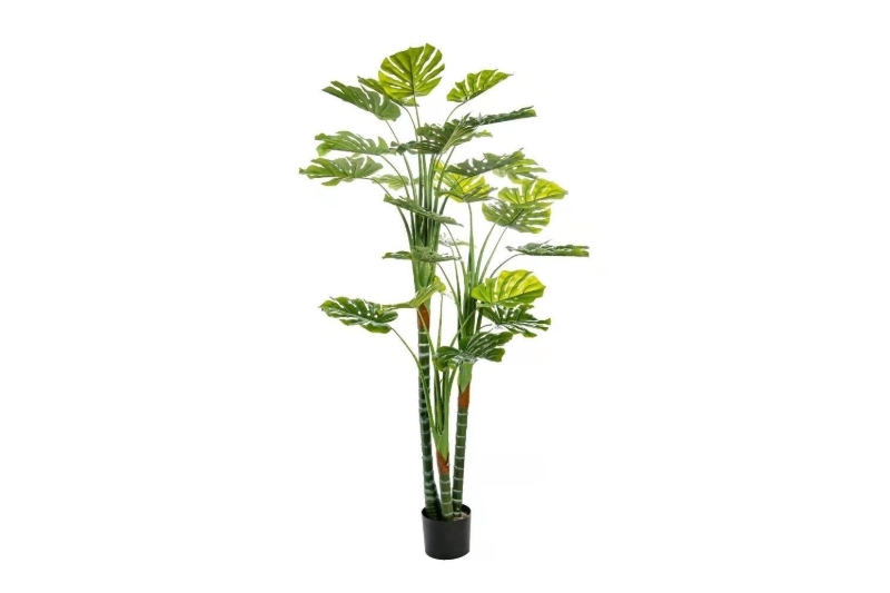Picture of ARTIFICIAL PLANT Monstera Deliciosa 67"