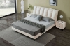 Picture of ALANYA Bed Frame in Queen Size (White)