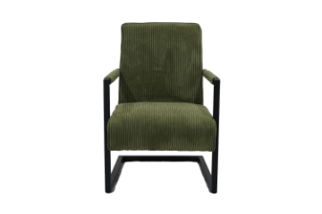 Picture of PARAMOUNT Corduroy Fabric Arm Chair (Green)