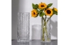 Picture of GLACIER-SHAPED Tall/Short Glass Vase (Transparent/Smoke Grey)