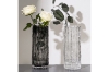 Picture of GLACIER-SHAPED Glass Vase (Transparent) - Short