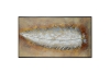 Picture of H76 31"x55" Black Frame Hand Oil Painting Canvas Wall Art