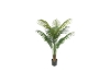 Picture of PALM TREE Artificial Plant with Pot  - 55" Tall 