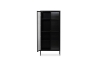 Picture of STARK 2-Door Glass Display Cabinet (Black)