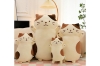 Picture of CUTE CHEESE CAT Plush Cushion - Small (26")