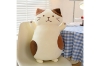 Picture of CUTE CHEESE CAT Plush Cushion - Small (26")