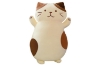 Picture of CUTE CHEESE CAT Plush Cushion - Small (26")