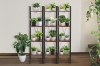 Picture of LILOLA 4-Tier Display Shelf 