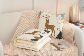 Picture of Cushion and Blanket 2 in 1 with Linen Printed