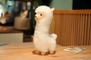 Picture of ALPACA Plush Cushion (White) - 17 inches