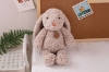 Picture of SOOTHING Bunny Plush Cushion