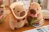 Picture of CAPYBARA Fabric Plush Cushion