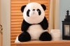 Picture of PANDA Small/Big Fabric Plush Cushion (Brown/Black)