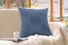 Picture of FRESH PUMPKIN Chenille Fabric Cushion with Inner in Multiple Colors (17.7" x 17.7")