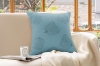 Picture of FRESH PUMPKIN Chenille Fabric Cushion (17.7" x 17.7") - Blue