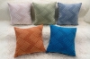 Picture of CBANNER SAPHIR Chiffon Fabric Cushion in Multiple Colors (17.7" x 17.7")