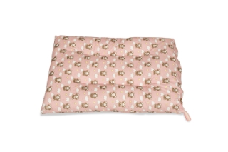 Picture of  ANAIS Velvet Fabric Kids' Pillow (Pink Bear)