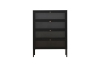 Picture of STARK Steel Frame 4-Door Transparent Glass Shoe Cabinet (Black)