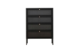Picture of STARK Steel Frame 4-Door Transparent Glass Shoe Cabinet (Black)