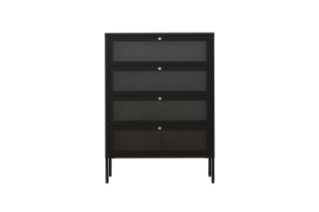 Picture of STARK Steel Frame 4-Door Transparent Glass Shoe Cabinet (Black)