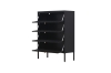 Picture of STARK 4-Door Transparent Glass Shoe Cabinet (Black)