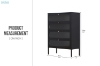 Picture of STARK Steel Frame 4-Door Transparent Glass Shoe Cabinet (Black)