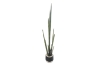 Picture of ARTIFICIAL Sansevieria Potted Plant (48" Tall)