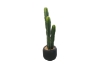 Picture of ARTIFICIAL Cactus Potted Plant (36" Tall) 