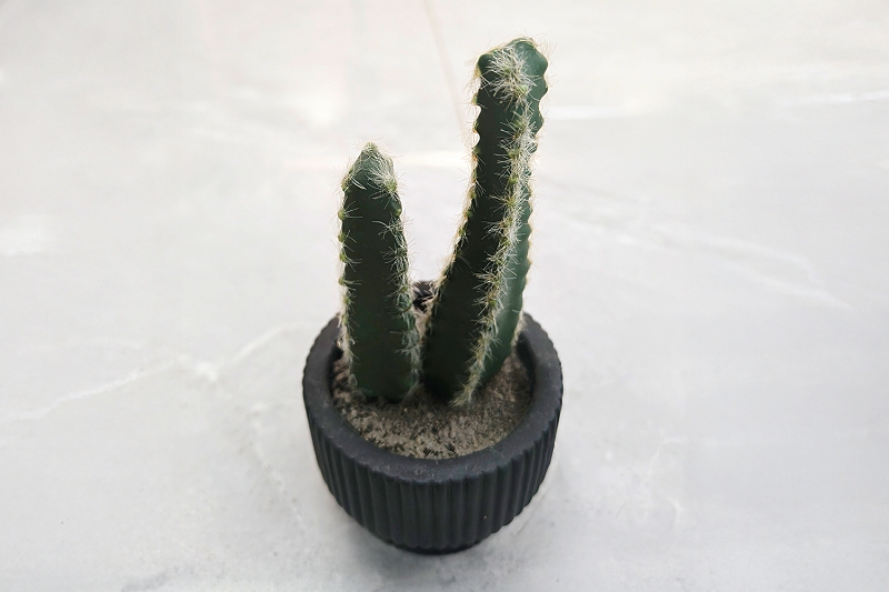 Picture of ARTIFICIAL Duo Cereus Acanthocereus Cactus Potted Plant - Each