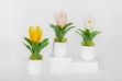Picture of Set of 3 - ARTIFICIAL Flower Potted Plants 3 Piece Decorative Set