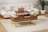 Picture of Lune Lift Top Coffee Table with Hidden Storage and Drawers