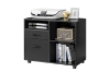 Picture of HARKEN 2-Drawer Cabinet with Wheels (Black)