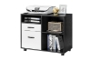 Picture of HARKEN 2-Drawer Cabinet with Wheels (Black&White)