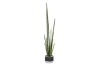 Picture of ARTIFICIAL Sansevieria Potted Plant (48" Tall)