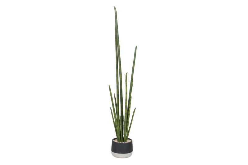 Picture of ARTIFICIAL Sansevieria Potted Plant (48" Tall)