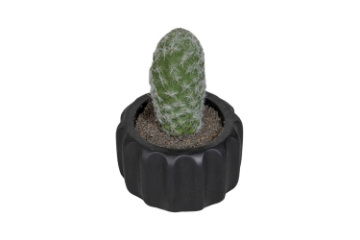 Picture of ARTIFICIAL Round Cactus Potted Plant (4"x6")  